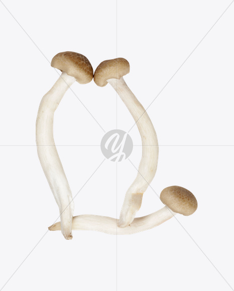 Letter Q from Mushrooms Font on Yellow Images Creative Fonts - S25836