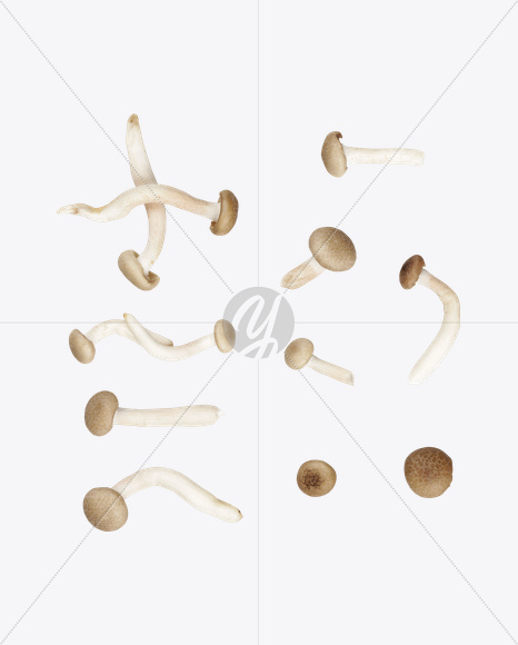 punctuation marks