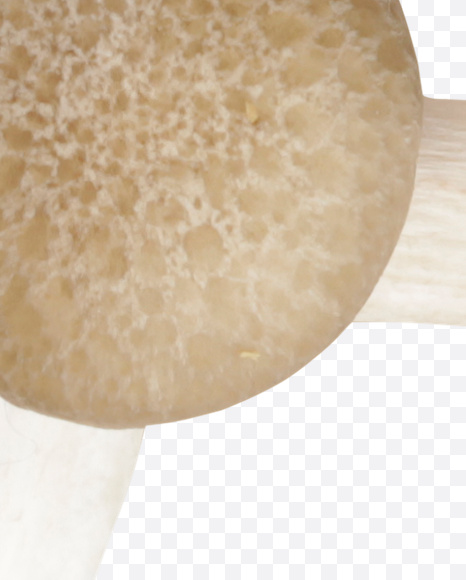 6 from Mushrooms Font on Yellow Images Creative Fonts - S25851