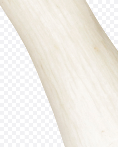 Letter S from Mushrooms Font on Yellow Images Creative Fonts - S25838