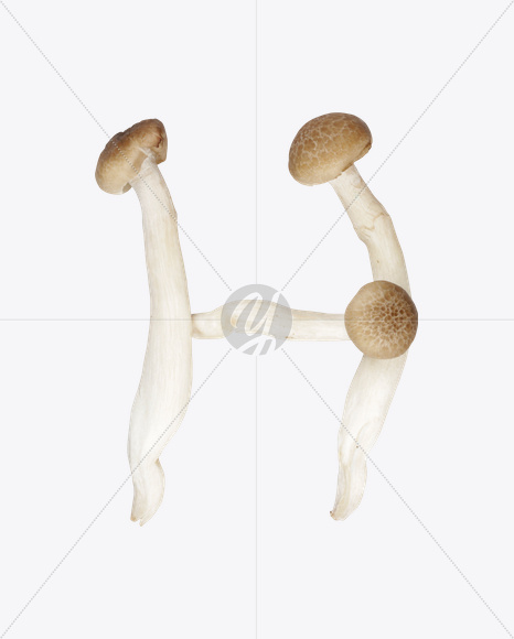 Letter H from Mushrooms Font on Yellow Images Creative Fonts - S25827