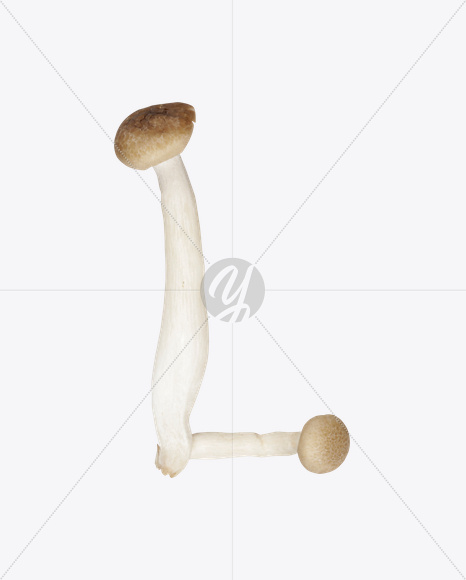 Letter L from Mushrooms Font on Yellow Images Creative Fonts - S25831