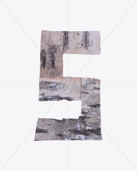 5 from Birch Font on Yellow Images Creative Fonts - S25896