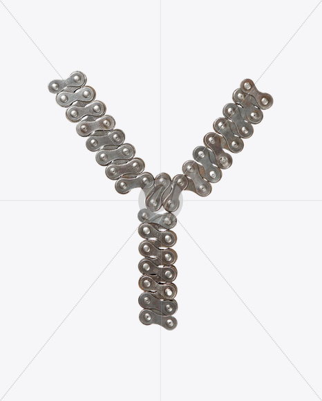 Y