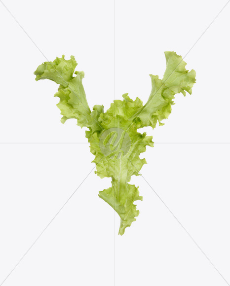Y