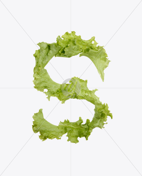 Letter S from Salad Font on Yellow Images Creative Fonts - S26569