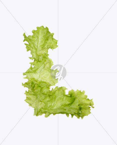 L