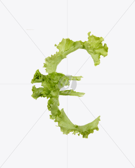 euro from Salad Font on Yellow Images Creative Fonts - S26590