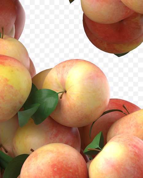 Apple $ from Apple Garden Font on Yellow Images Creative Fonts - S28393