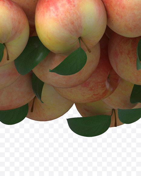 Apple L from Apple Garden Font on Yellow Images Creative Fonts - S28368