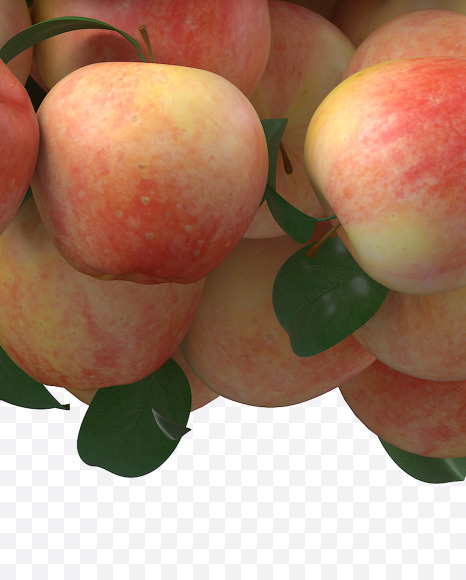 Apple N from Apple Garden Font on Yellow Images Creative Fonts - S28370