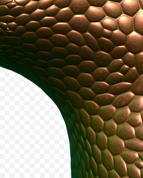 Letter H from Bronze Snake Font on Yellow Images Creative Fonts - S29335