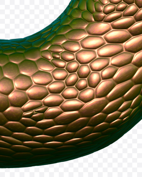3 from Bronze Snake Font on Yellow Images Creative Fonts - S29356