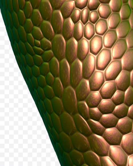 Letter V from Bronze Snake Font on Yellow Images Creative Fonts - S29349