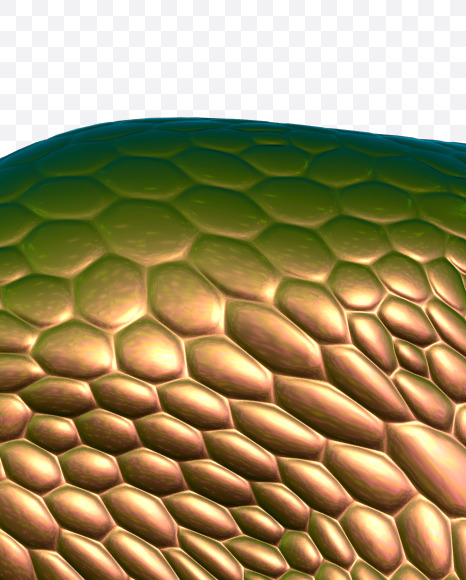 heart from Bronze Snake Font on Yellow Images Creative Fonts - S29365