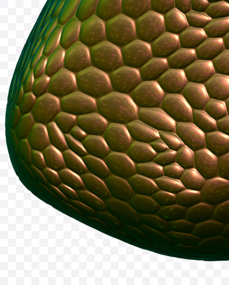 Letter Z from Bronze Snake Font on Yellow Images Creative Fonts - S29353