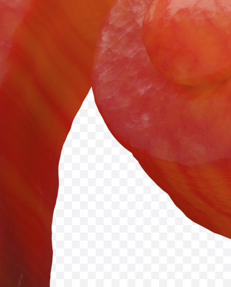 Iron r lowercase from Forged Iron Font on Yellow Images Creative Fonts - S30271