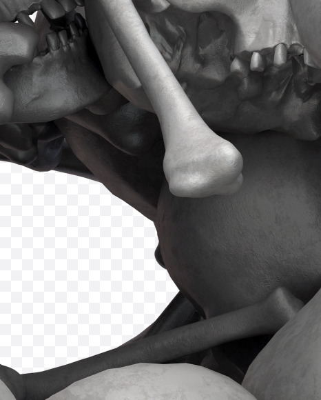 B skull from Skull Fon on Yellow Images Creative Fonts - S31998