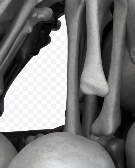 4 skull from Skull Fon on Yellow Images Creative Fonts - S32026