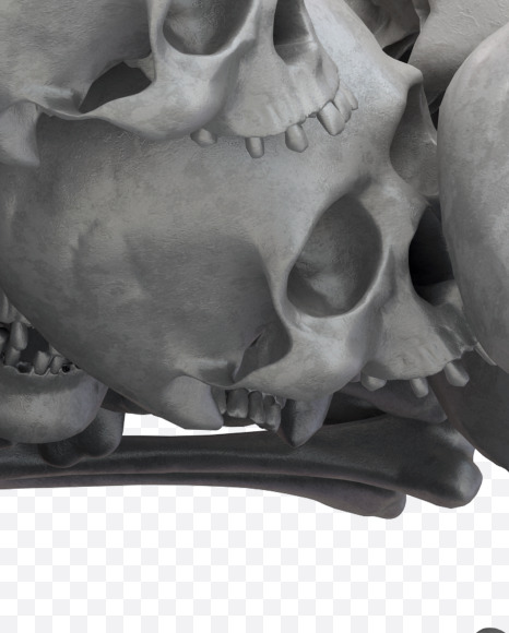 E skull from Skull Fon on Yellow Images Creative Fonts - S32001