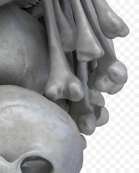 8 skull from Skull Fon on Yellow Images Creative Fonts - S32030