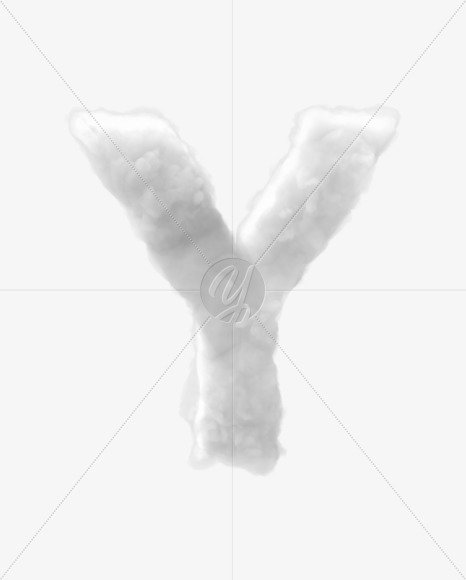 Y