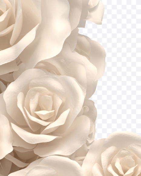 Letter L from White roses on Yellow Images Creative Fonts - S33078