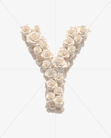 Letter Y from White roses on Yellow Images Creative Fonts - S33091