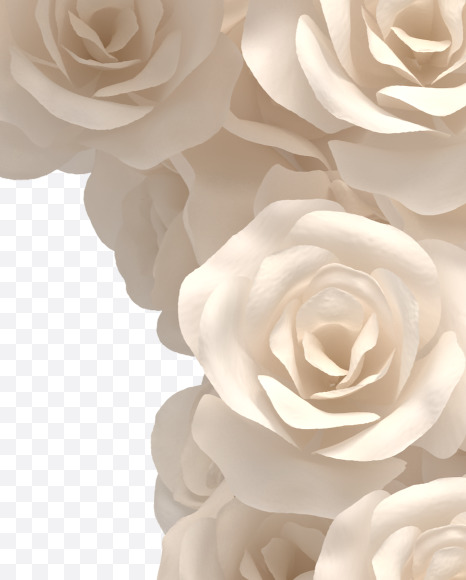 2 from White roses on Yellow Images Creative Fonts - S33094