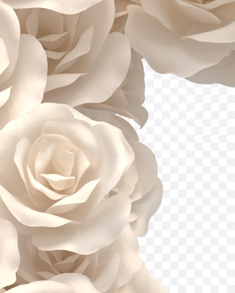 Letter T from White roses on Yellow Images Creative Fonts - S33086