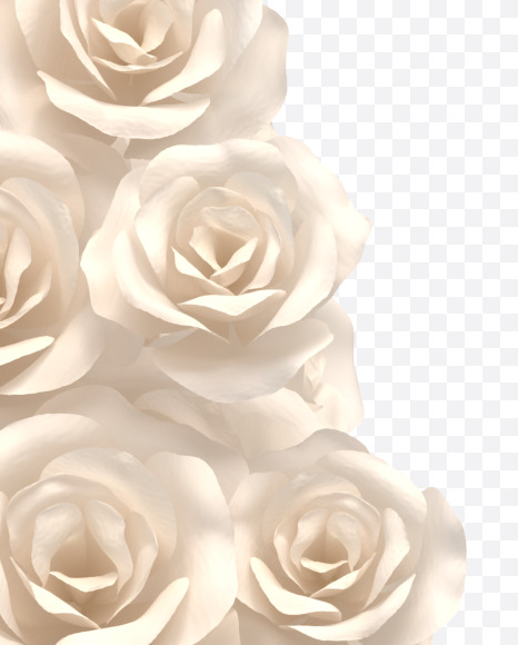Letter A from White roses on Yellow Images Creative Fonts - S33067