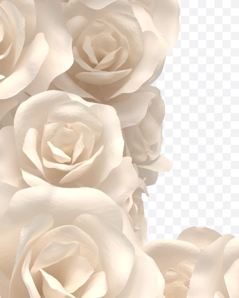 1 from White roses on Yellow Images Creative Fonts - S33093