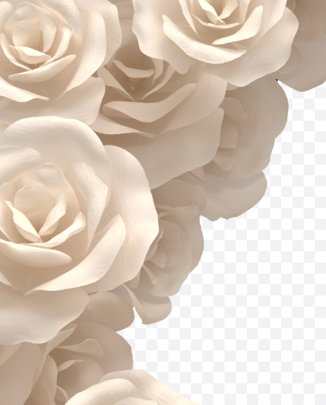 4 from White roses on Yellow Images Creative Fonts - S33096