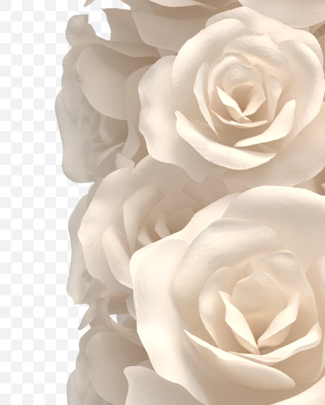 6 from White roses on Yellow Images Creative Fonts - S33098