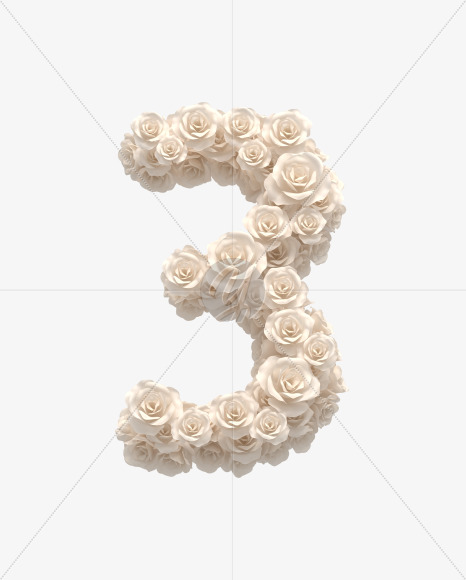 3 from White roses on Yellow Images Creative Fonts - S33095