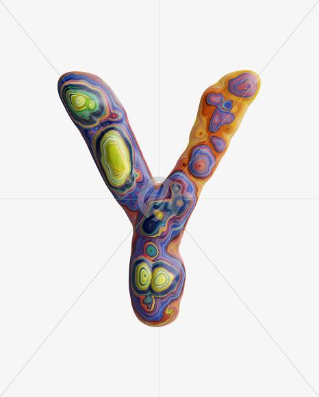Y