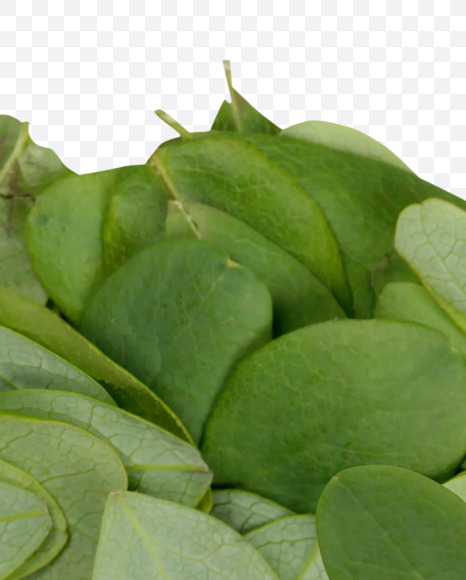 5 from Summer Leaves Font on Yellow Images Creative Fonts - S33611