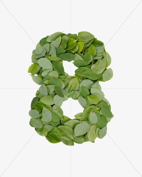 8