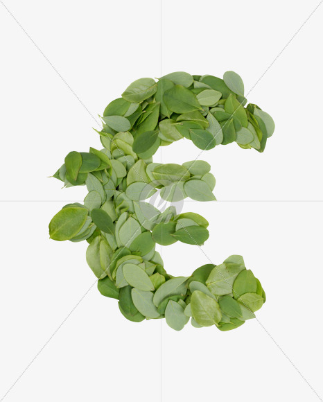 euro