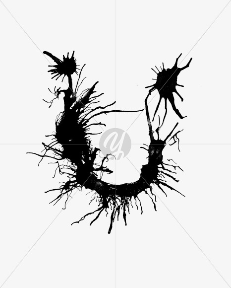 U