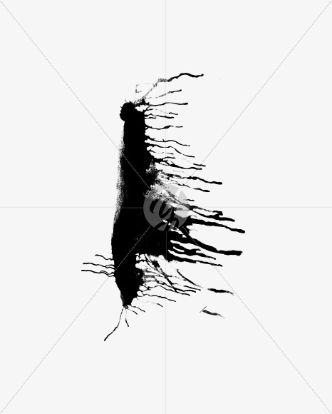 iI