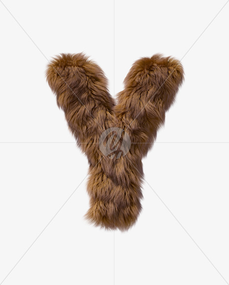 Y