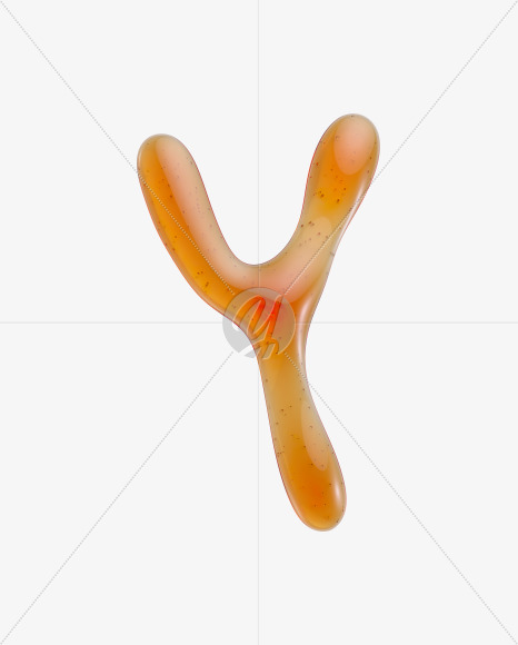 Y uppercase