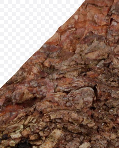 2 from Brown Bark Font on Yellow Images Creative Fonts - S36117