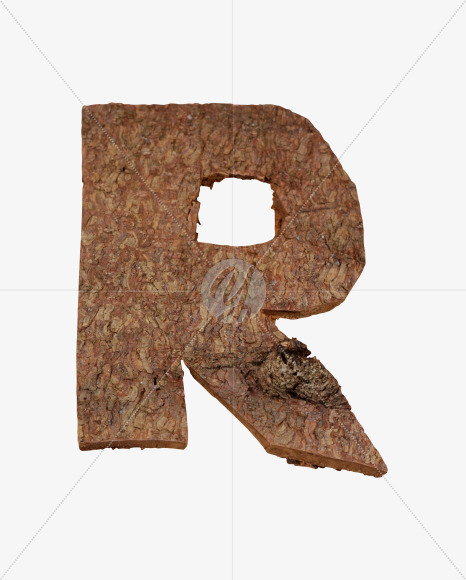 Letter R from Brown Bark Font on Yellow Images Creative Fonts - S36107