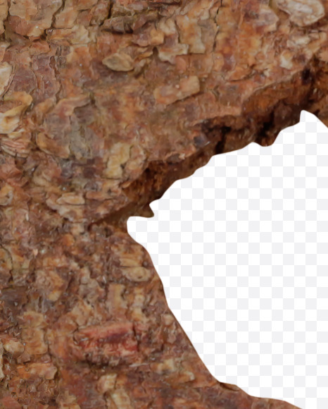 6 from Brown Bark Font on Yellow Images Creative Fonts - S36121