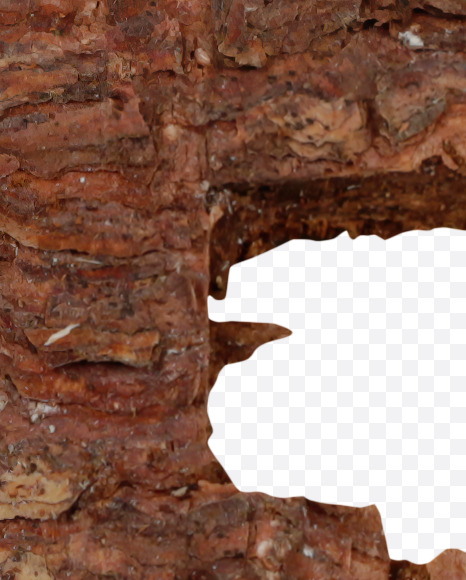 Letter E from Brown Bark Font on Yellow Images Creative Fonts - S36094