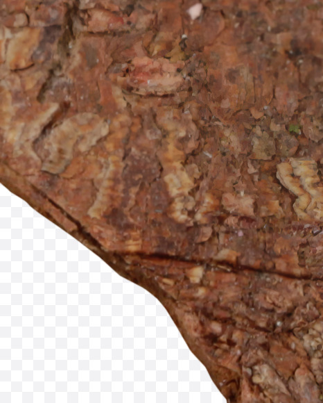 5 from Brown Bark Font on Yellow Images Creative Fonts - S36120