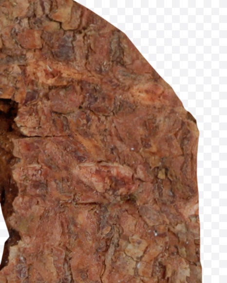 Letter B from Brown Bark Font on Yellow Images Creative Fonts - S36091