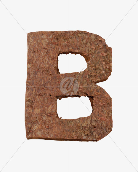 Letter B from Brown Bark Font on Yellow Images Creative Fonts - S36091